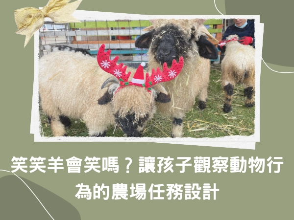 桃園,大溪,笑笑羊,觀察動物