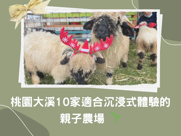 富田農場,大溪親子農場,桃園親子,大溪老街