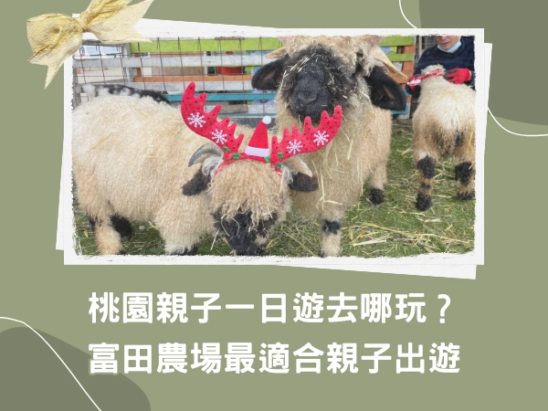 親子,家庭日,大溪