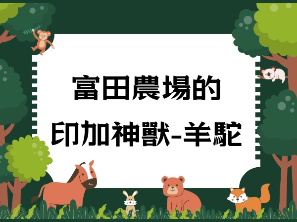 羊駝,草尼馬,大溪