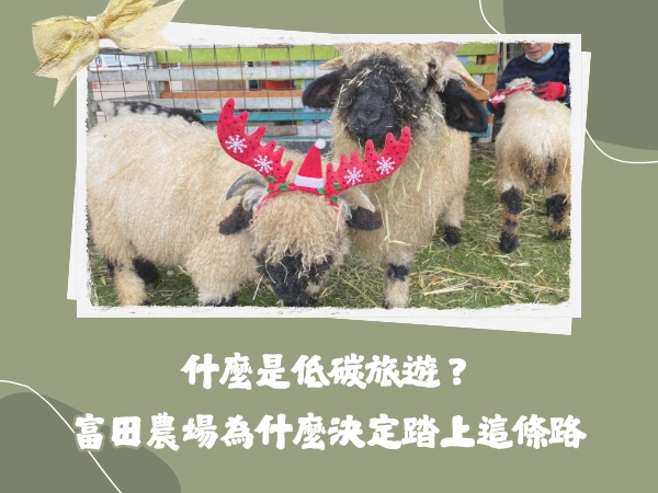 低碳,旅遊,大溪老街