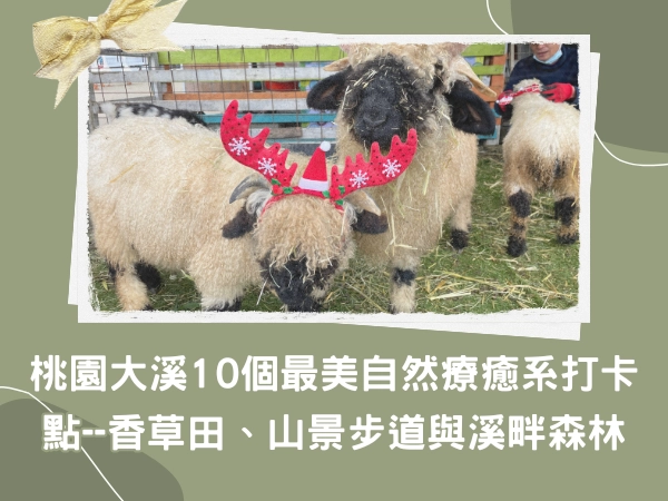 富田農場,大溪親子農場,桃園親子,大溪老街