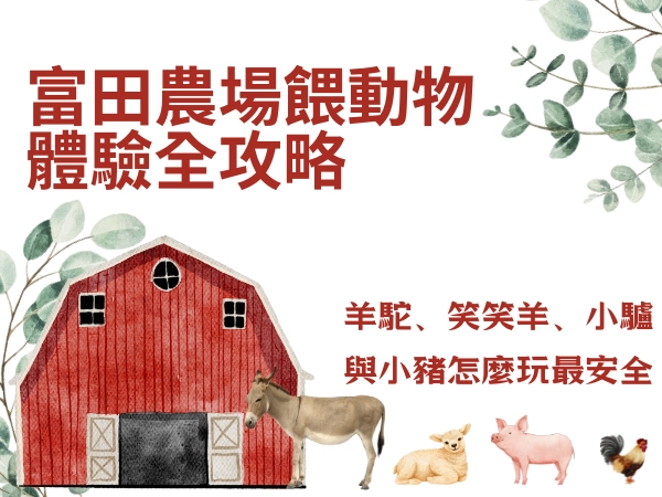 親子旅遊,大溪老街,慈湖景點