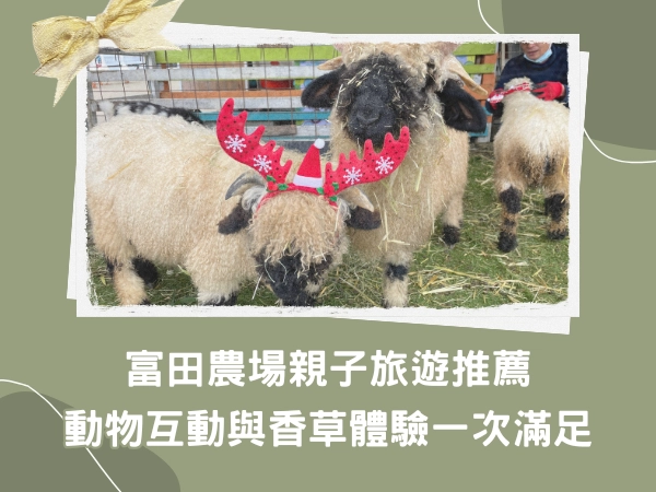 旅遊,家庭日,慈湖