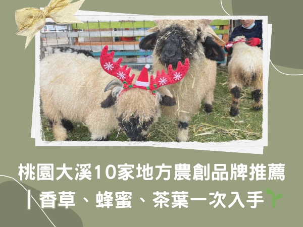 富田農場,大溪親子農場,桃園親子,大溪老街