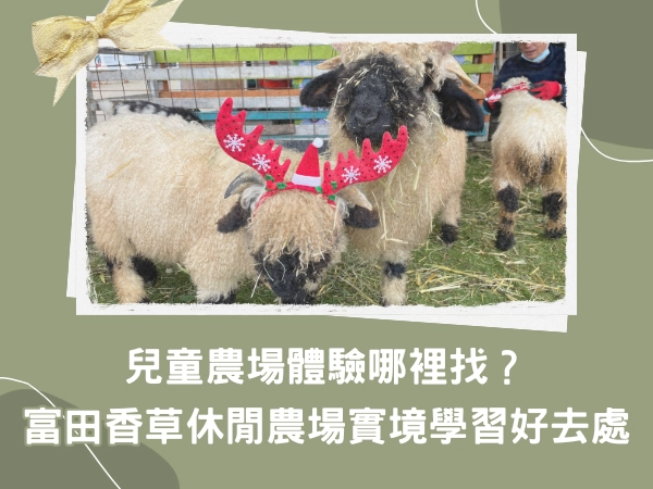 親子,家庭日,大溪