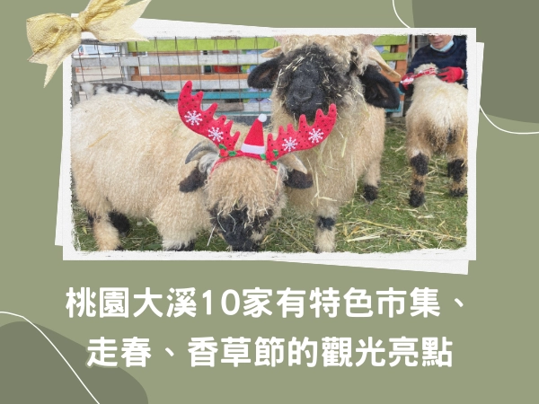 富田農場,大溪親子農場,桃園親子,大溪老街