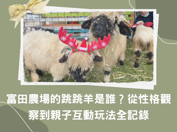 桃園,大溪,跳跳羊,互動,親子