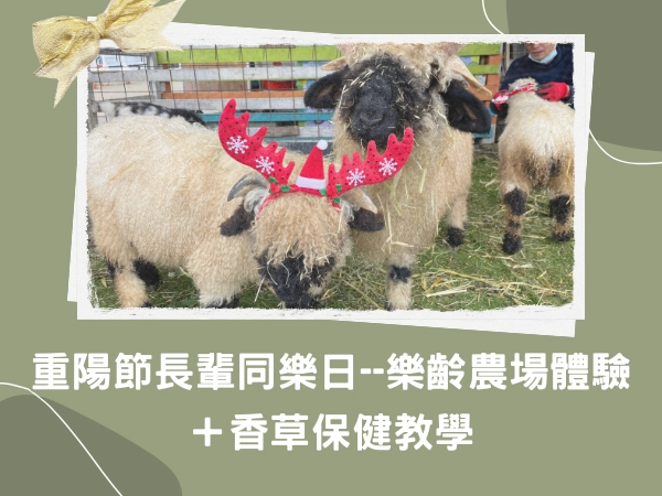 桃園,長輩日,保健,樂齡