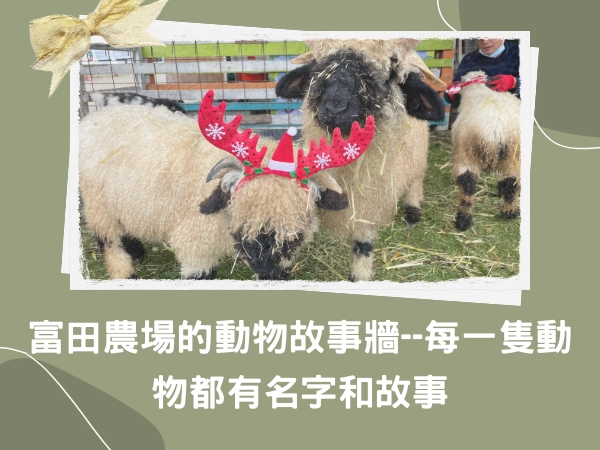 桃園,大溪,動物名字,動物故事