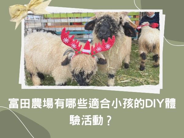 桃園,大溪,diy,體驗活動