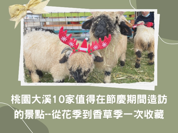 富田農場,大溪親子農場,桃園親子,大溪老街