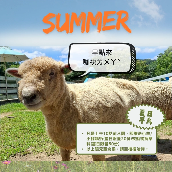 暑假,桃園農場,玩水