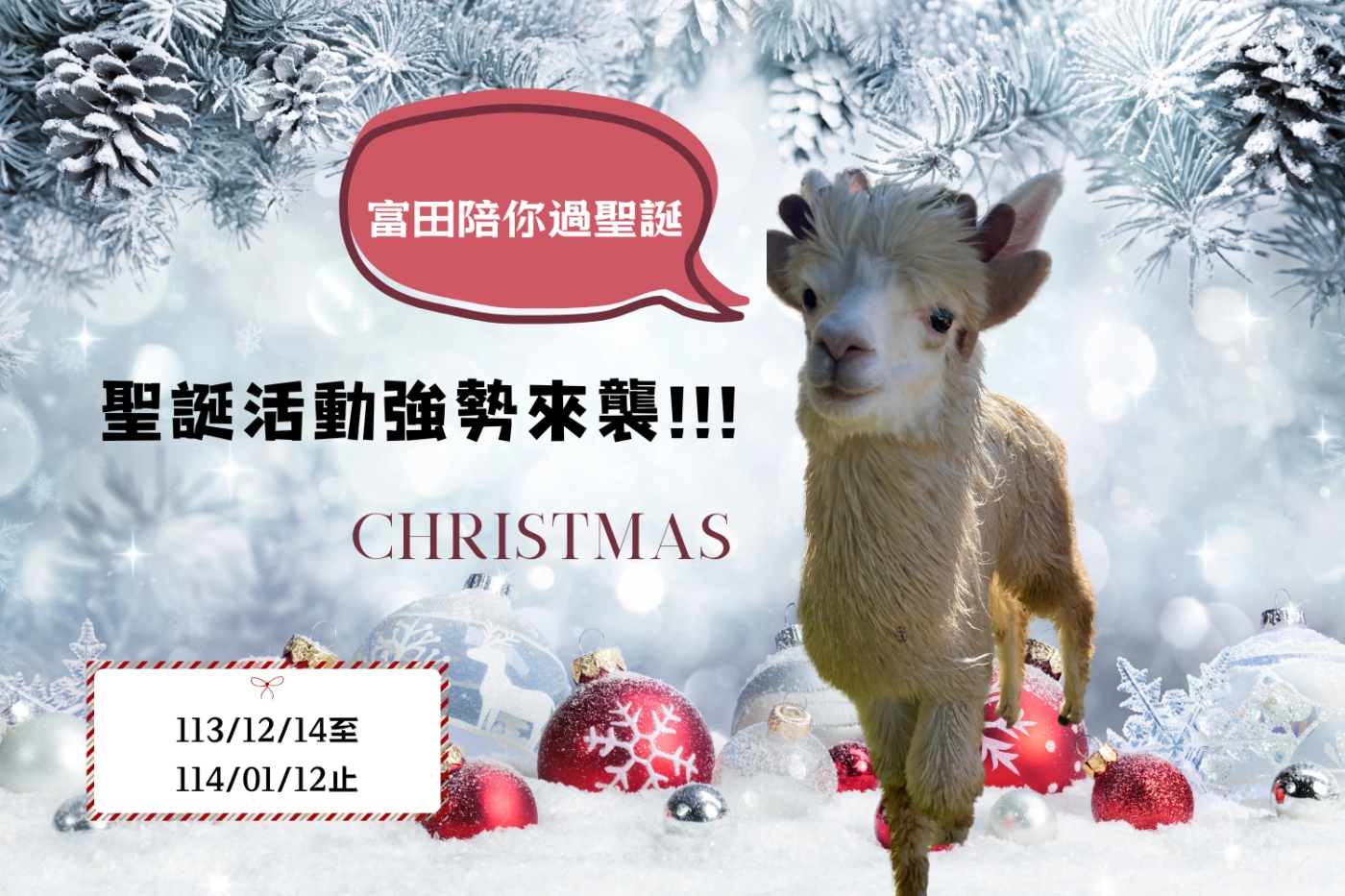 聖誕節,動物農場