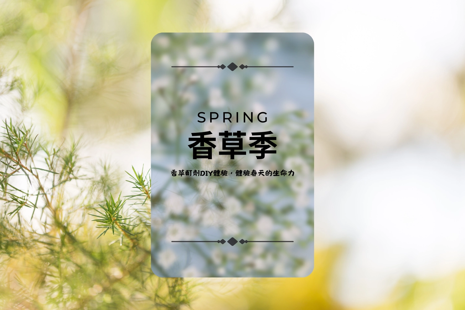 清明節,連假,香草